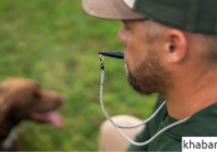 whistle training for dogs